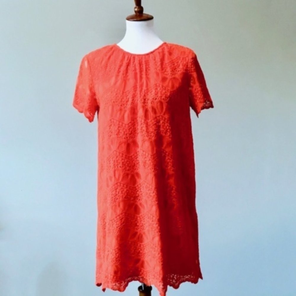 Zara Basic Collection Orange Lace Lined Dress - image 3